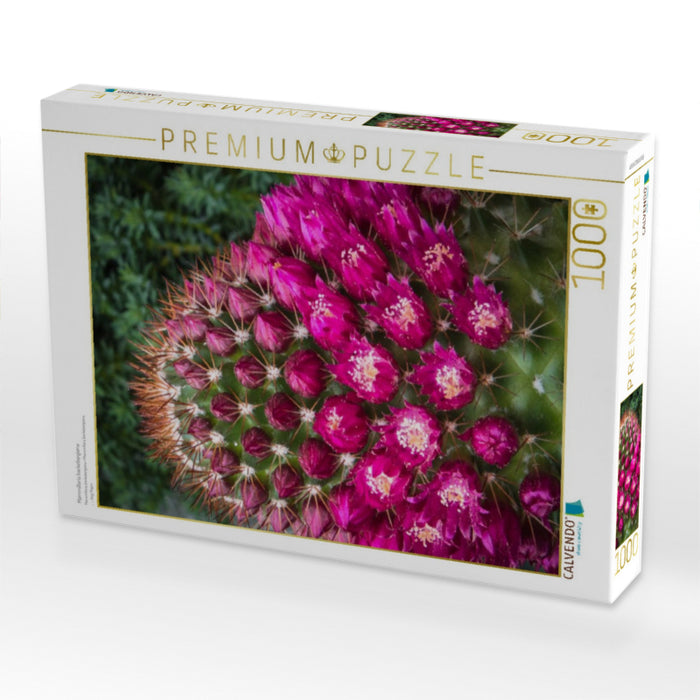 Mammillaria backebergiana - CALVENDO Foto-Puzzle'
