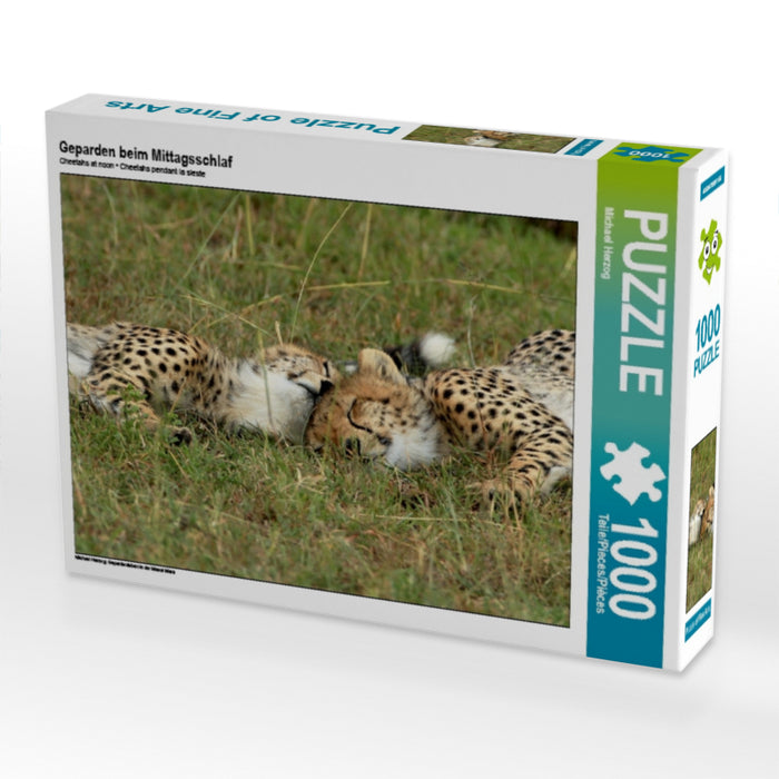Geparden beim Mittagsschlaf 1000 Teile Puzzle quer - CALVENDO Foto-Puzzle'