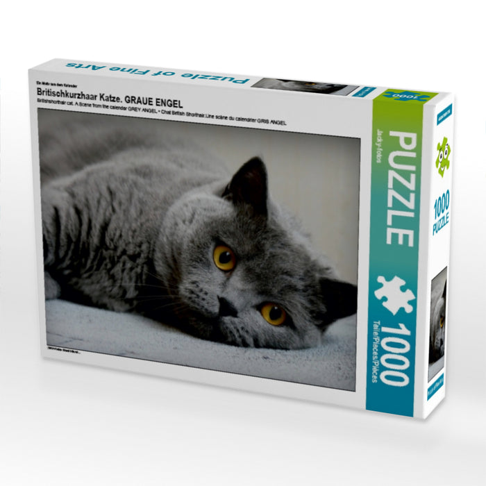 Britischkurzhaar Katze. Ein Motiv aus dem Kalender GRAUE ENGEL 1000 Teile Puzzle quer - CALVENDO Foto-Puzzle'