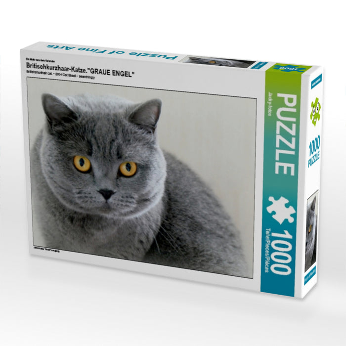 Britischkurzhaar-Katze.Ein Motiv aus dem Kalender "GRAUE ENGEL" 1000 Teile Puzzle quer - CALVENDO Foto-Puzzle'