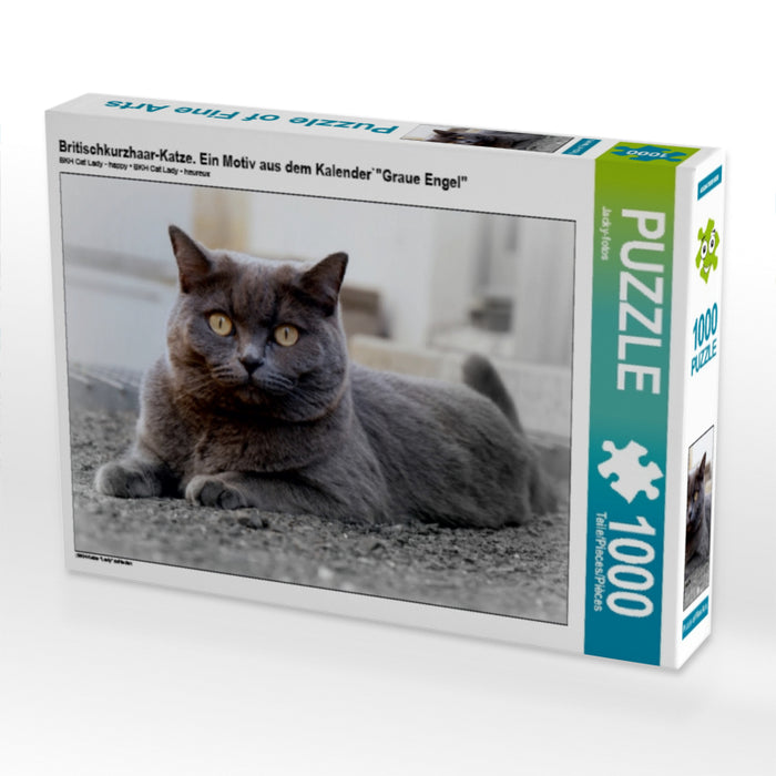Britischkurzhaar-Katze. Ein Motiv aus dem Kalender`"Graue Engel" 1000 Teile Puzzle quer - CALVENDO Foto-Puzzle'
