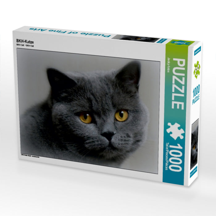BKH cat - CALVENDO photo puzzle 