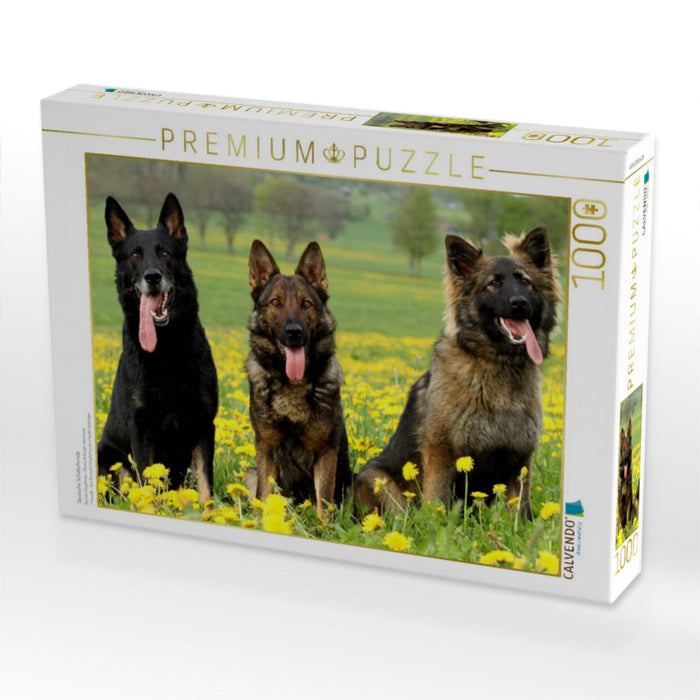 Deutsche Schäferhunde - CALVENDO Foto-Puzzle'