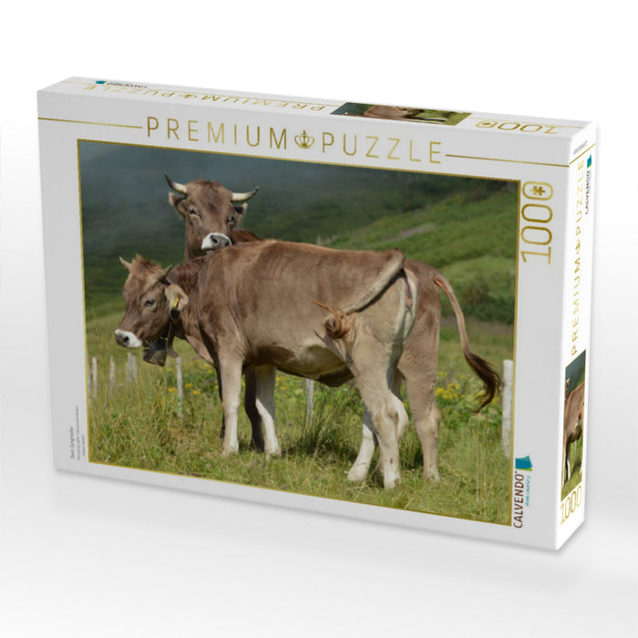 Zwei Jungrinder - CALVENDO Foto-Puzzle'