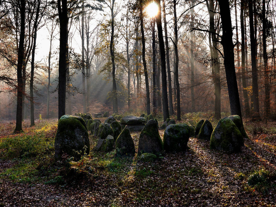 Hünengrab im Klecker Wald - CALVENDO Foto-Puzzle'