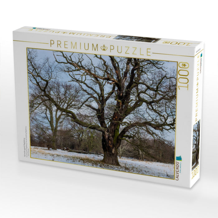 Herrenkrugpark Magdeburg - CALVENDO Foto-Puzzle'