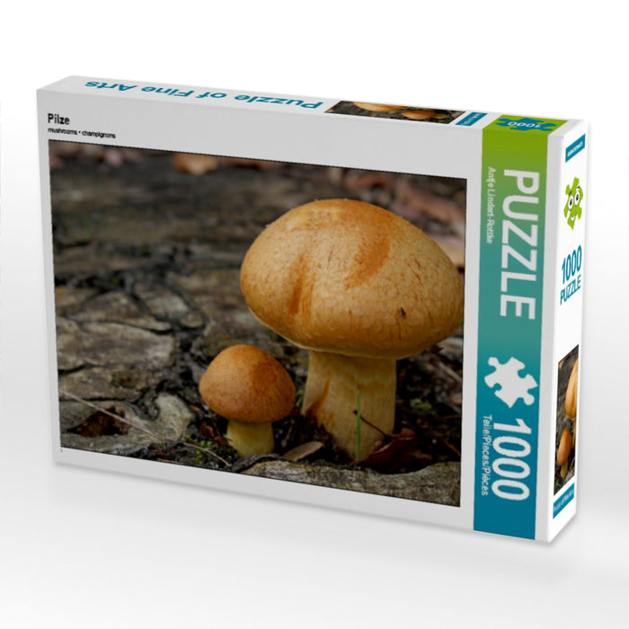 Mushrooms - CALVENDO photo puzzle 