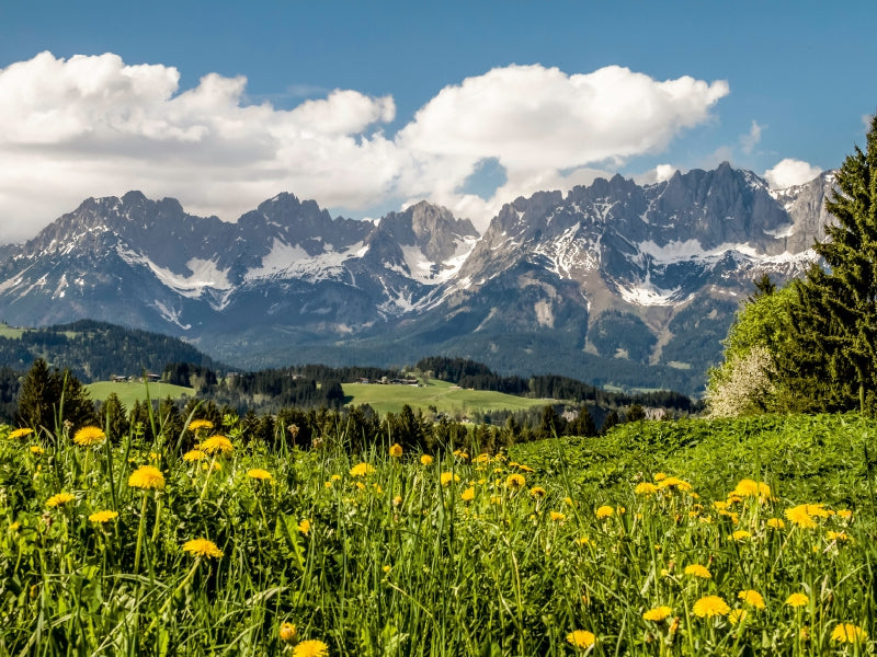 Blick von Reith 1000 Teile Puzzle quer - CALVENDO Foto-Puzzle'
