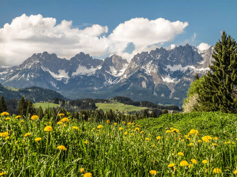 Blick von Reith - CALVENDO Foto-Puzzle'