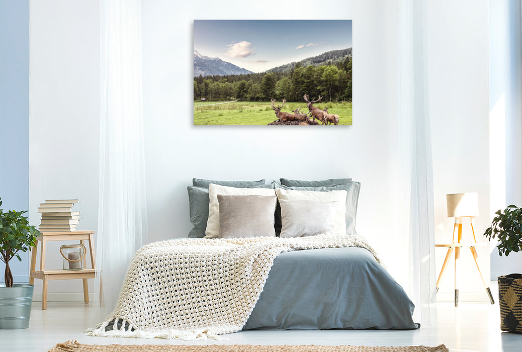 Premium Textil-Leinwand Premium Textil-Leinwand 120 cm x 80 cm quer Eine Herde Rotwild weiden in der schönen Natur in den Bergen von Hinterstoder