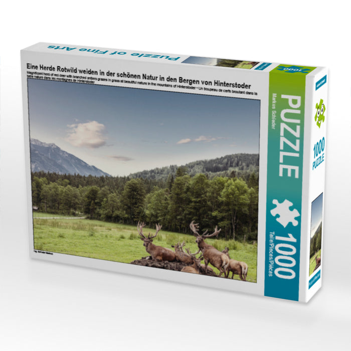 Eine Herde Rotwild weiden in der schönen Natur in den Bergen von Hinterstoder 1000 Teile Puzzle quer - CALVENDO Foto-Puzzle'