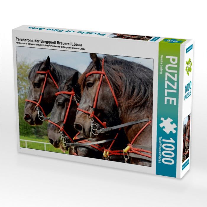Percherons der Bergquell Brauerei Löbau 1000 Teile Puzzle quer - CALVENDO Foto-Puzzle'