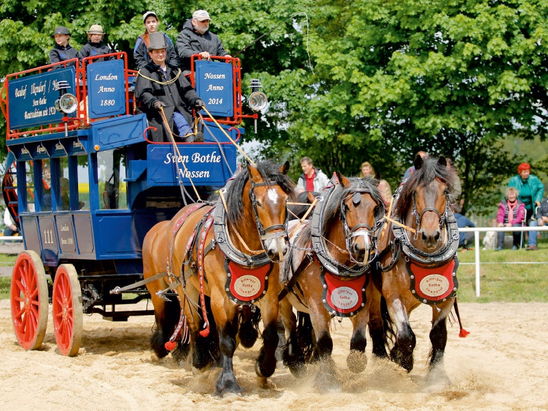 Fünf Rheinisch- Deutsche Kaltblüter vor einem Omnibus von 1880 1000 Teile Puzzle quer - CALVENDO Foto-Puzzle'