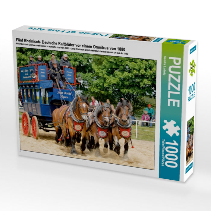 Fünf Rheinisch- Deutsche Kaltblüter vor einem Omnibus von 1880 1000 Teile Puzzle quer - CALVENDO Foto-Puzzle'