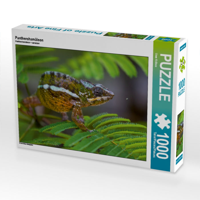 Panther chameleon - CALVENDO photo puzzle 