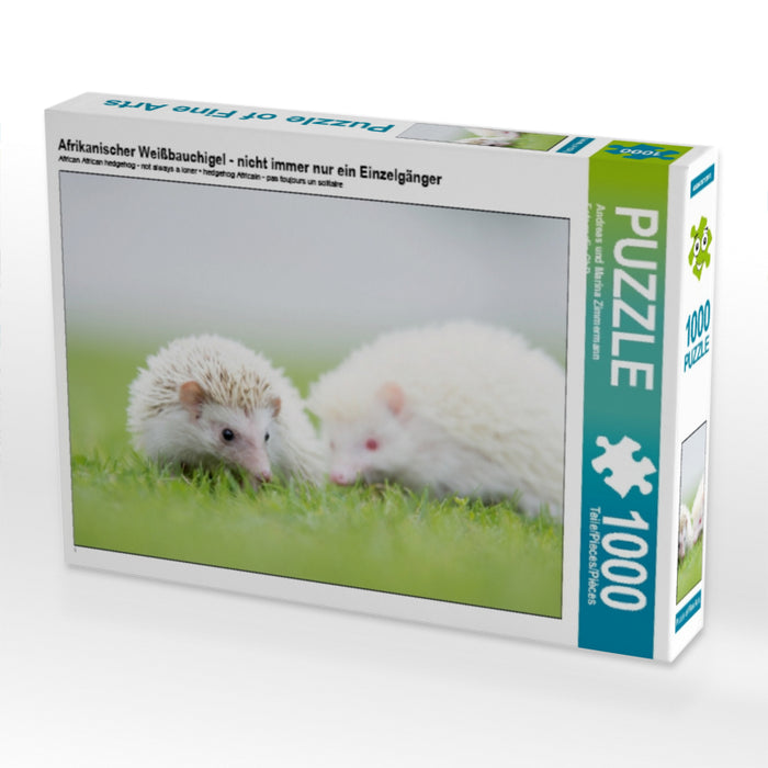 Afrikanischer Weißbauchigel - nicht immer nur ein Einzelgänger 1000 Teile Puzzle quer - CALVENDO Foto-Puzzle'