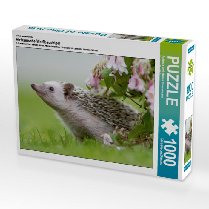 African white-bellied hedgehog - CALVENDO photo puzzle 
