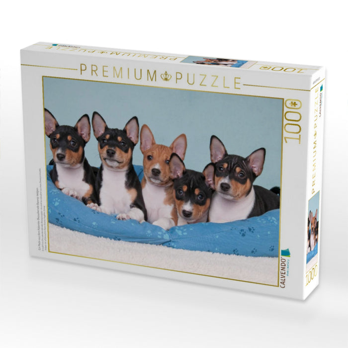 Ein Motiv aus dem Kalender Bezaubernde Basenji-Welpen - CALVENDO Foto-Puzzle'