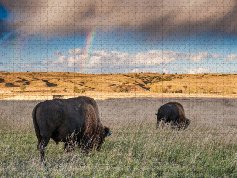 Roaming Free - CALVENDO Foto-Puzzle'