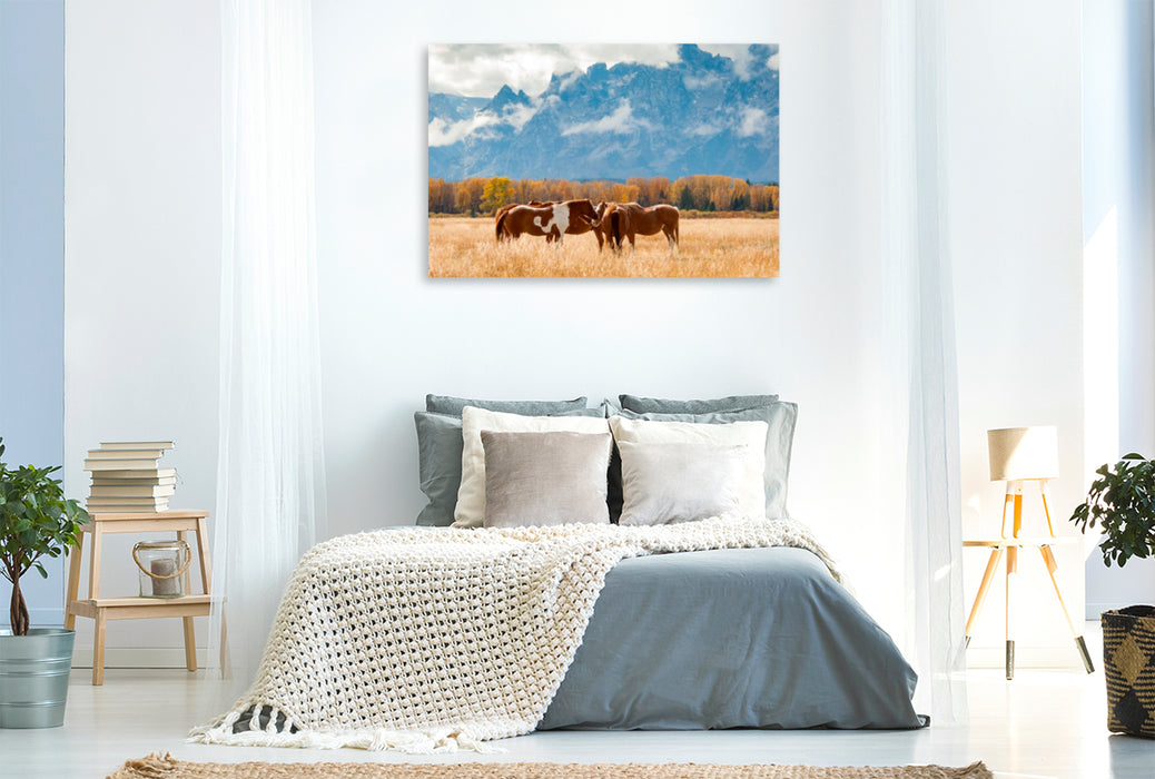 Premium Textil-Leinwand Premium Textil-Leinwand 120 cm x 80 cm quer Pferde im Grand Teton National Park