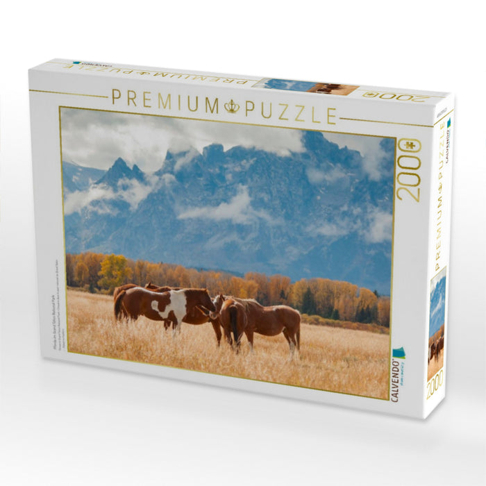 Pferde im Grand Teton National Park - CALVENDO Foto-Puzzle'