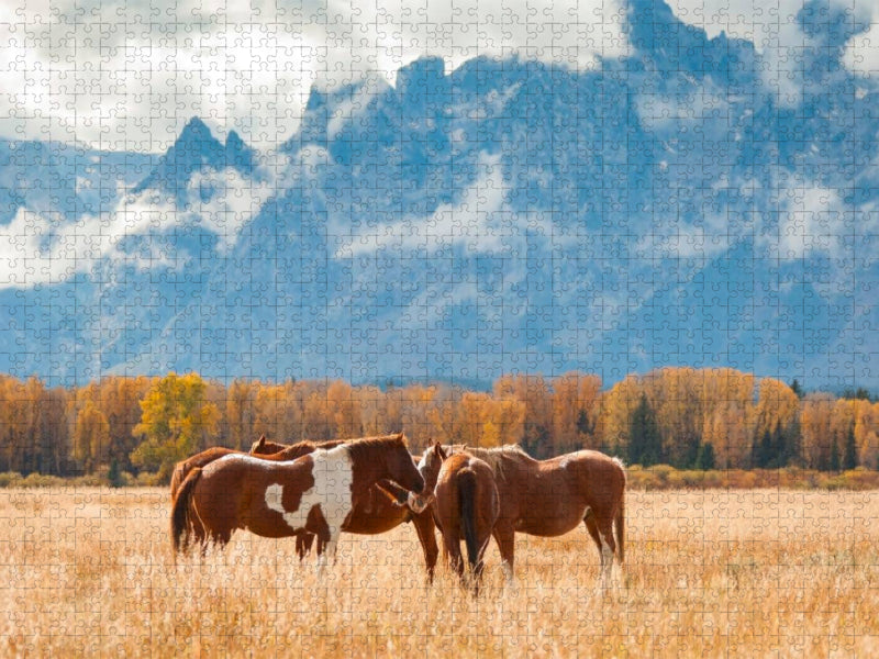 Pferde im Grand Teton National Park - CALVENDO Foto-Puzzle'