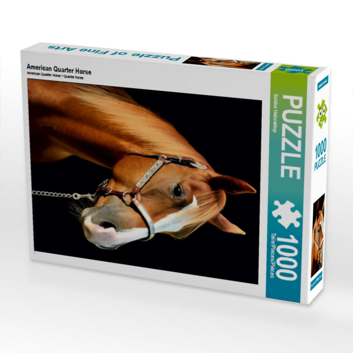 American Quarter Horse - CALVENDO photo puzzle 