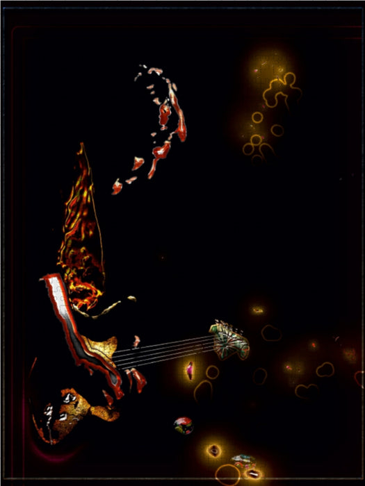 Guitarist - CALVENDO photo puzzle 