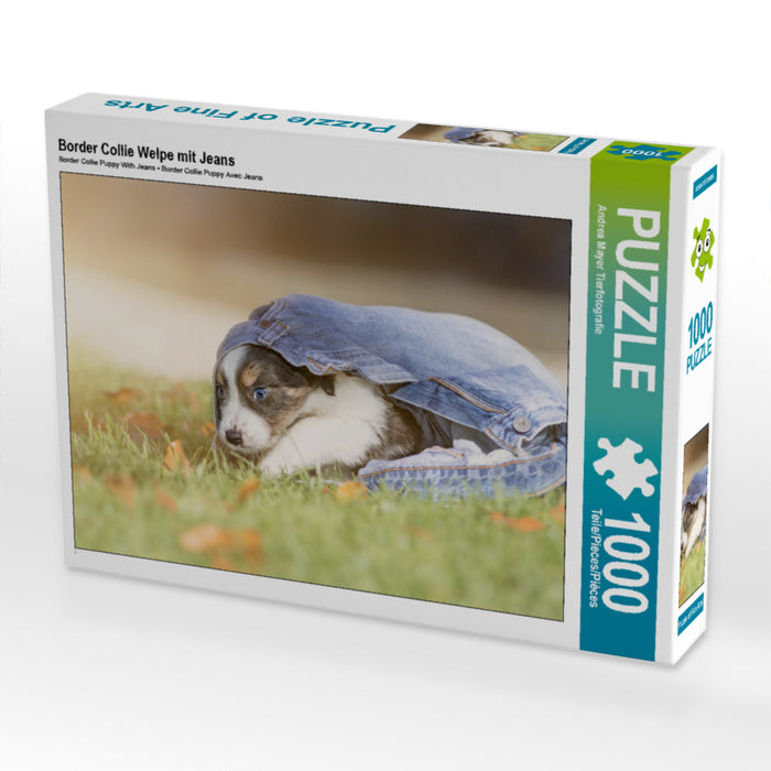 Border Collie Welpe mit Jeans 1000 Teile Puzzle quer - CALVENDO Foto-Puzzle'