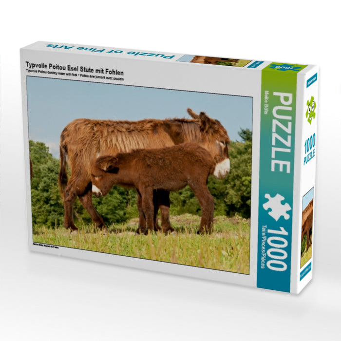 Typvolle Poitou Esel Stute mit Fohlen 1000 Teile Puzzle quer - CALVENDO Foto-Puzzle'