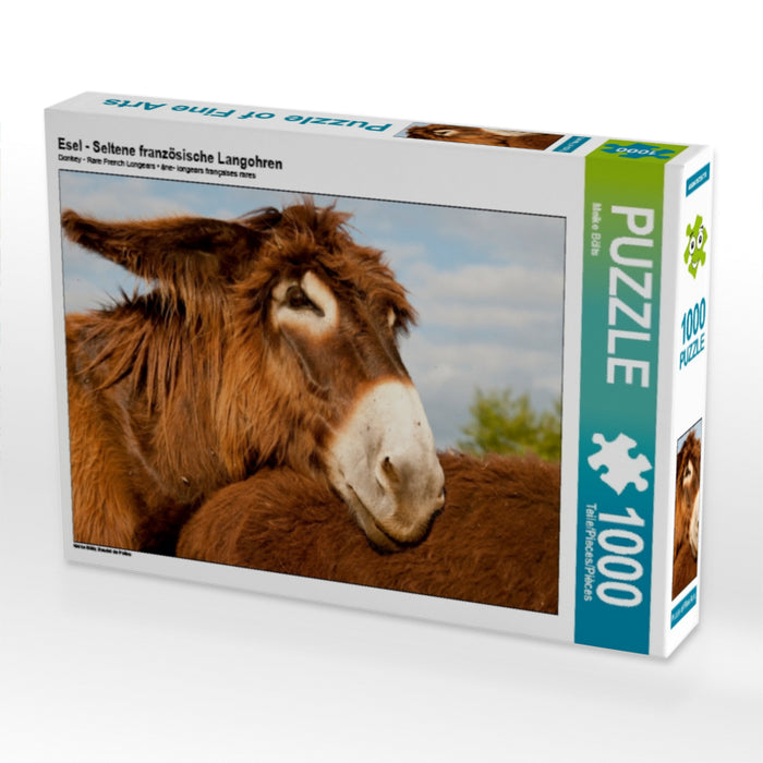 Esel - Seltene französische Langohren 1000 Teile Puzzle quer - CALVENDO Foto-Puzzle'