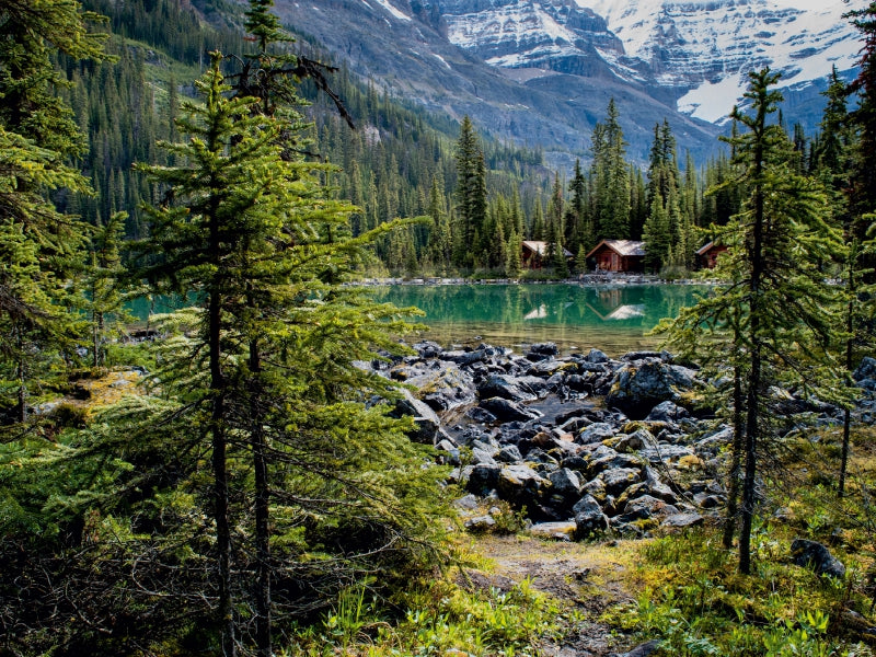 Lake O'Hara 1000 Teile Puzzle quer - CALVENDO Foto-Puzzle'