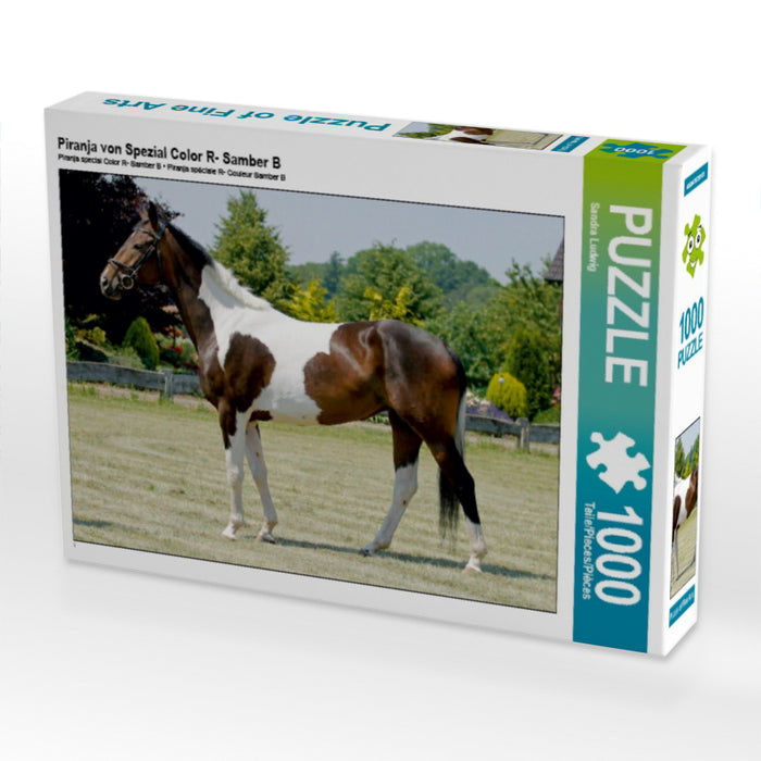 Piranja von Spezial Color R- Samber B 1000 Teile Puzzle quer - CALVENDO Foto-Puzzle'