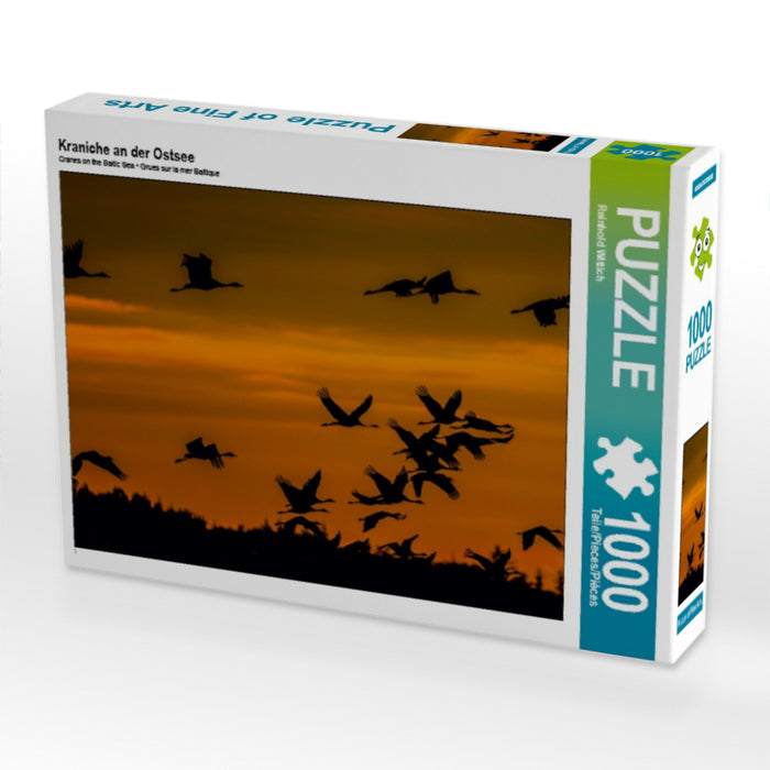 Kraniche an der Ostsee 1000 Teile Puzzle quer - CALVENDO Foto-Puzzle'