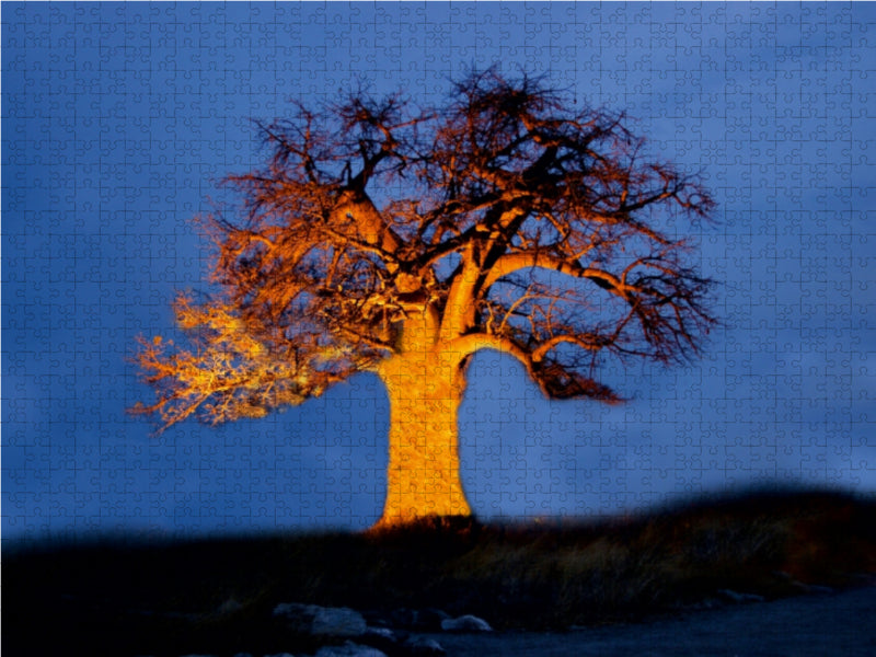Ein Baobab in Botswana 1000 Teile Puzzle quer - CALVENDO Foto-Puzzle'