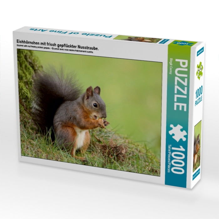 Eichhörnchen mit frisch gepflückter Nusstraube. 1000 Teile Puzzle quer - CALVENDO Foto-Puzzle'