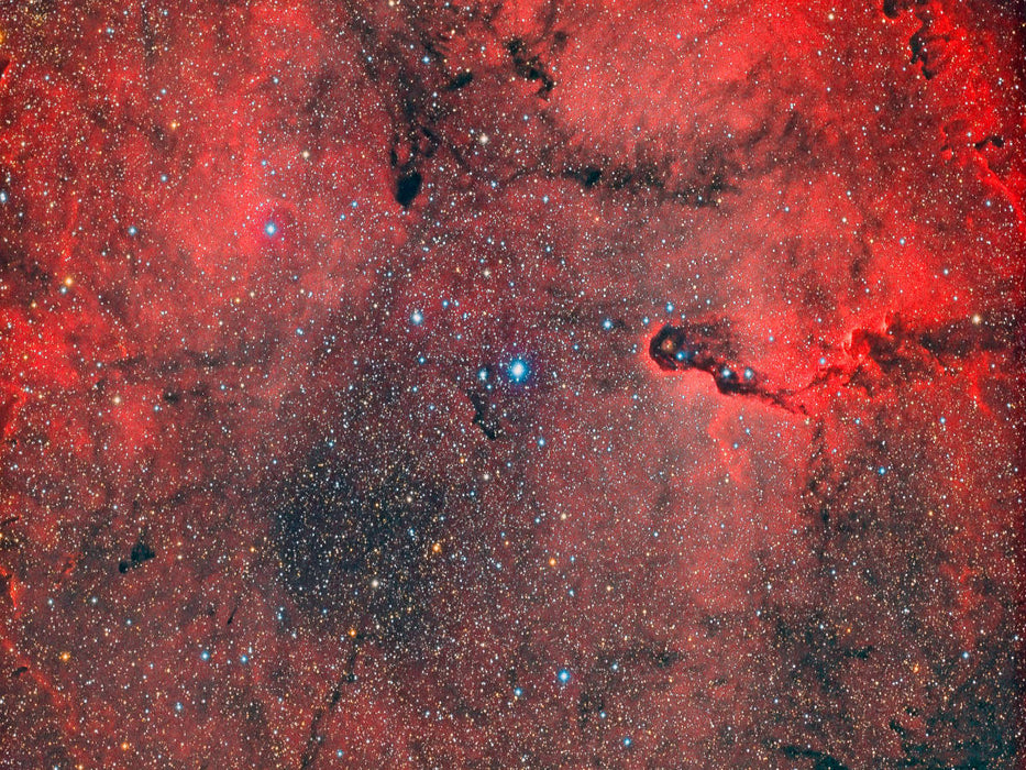 Elefantenrüssel-Nebel IC 1396 - CALVENDO Foto-Puzzle'