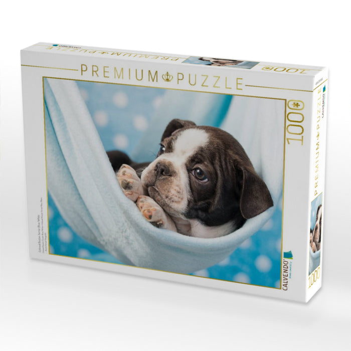 Colored Boston Terrier Blue/White - CALVENDO Foto-Puzzle'