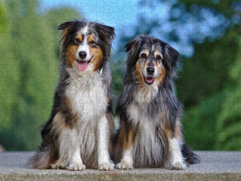 Ice & Chessy - die Tochter so schön wie die Mutter - CALVENDO Foto-Puzzle'