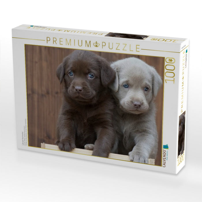 Labrador Geschwister - CALVENDO Foto-Puzzle'