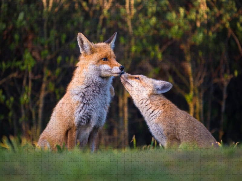 Kuscheln mit Mama - CALVENDO Foto-Puzzle'