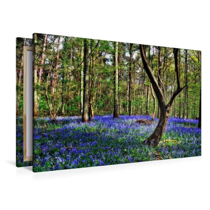 Premium Textil-Leinwand Zauberwald