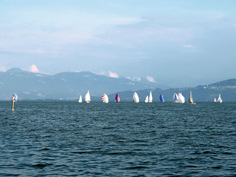 Obersee Pokal Regatta 1000 Teile Puzzle quer - CALVENDO Foto-Puzzle'