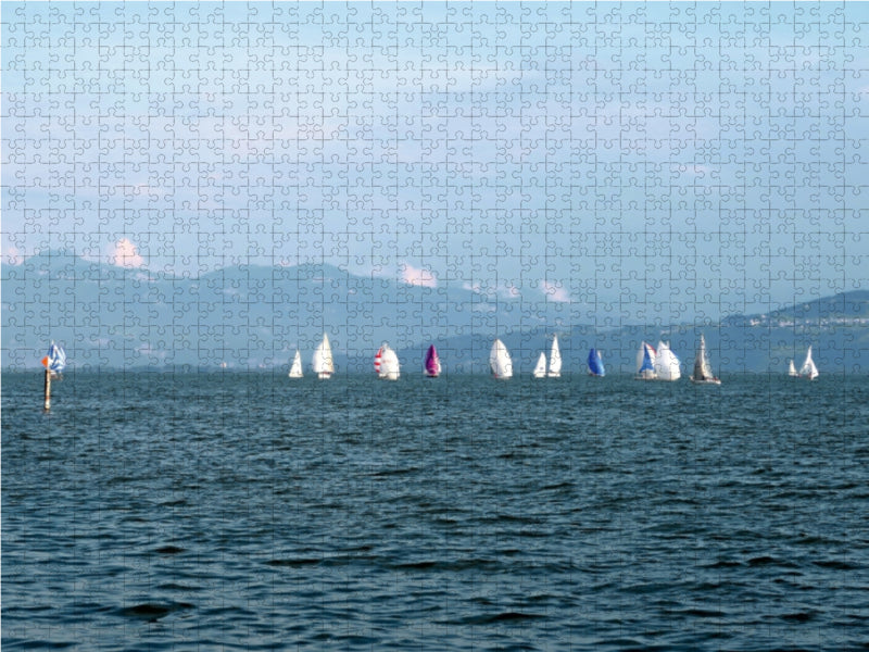Obersee Pokal Regatta 1000 Teile Puzzle quer - CALVENDO Foto-Puzzle'