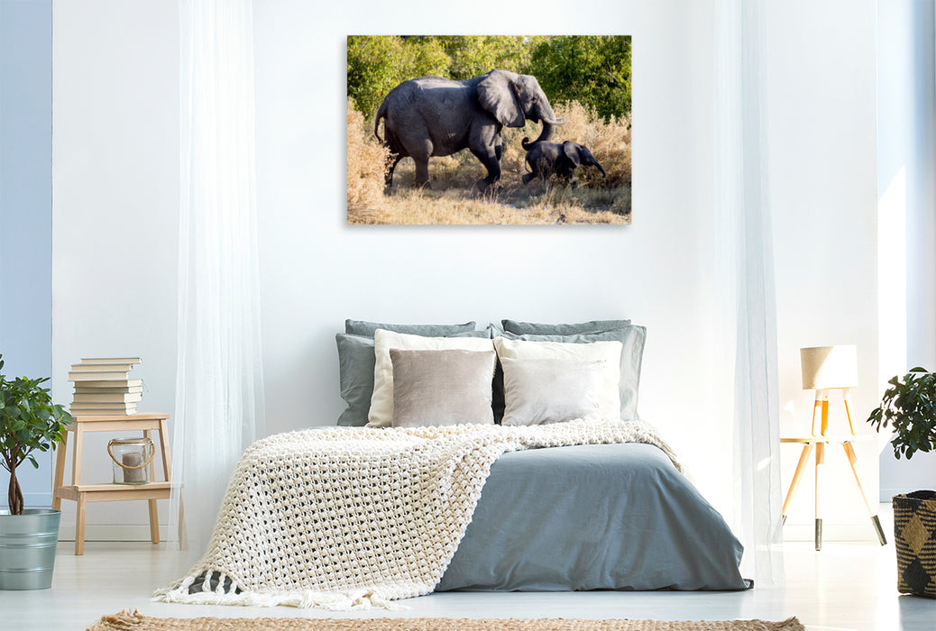 Premium Textil-Leinwand Premium Textil-Leinwand 120 cm x 80 cm quer Elefant mit Jungtier