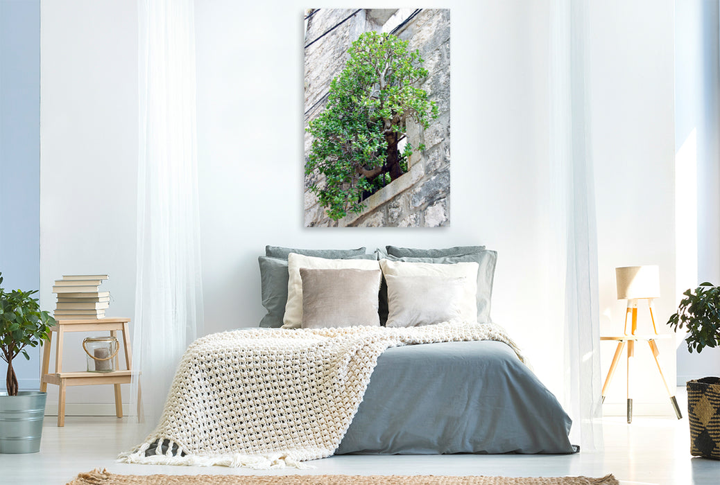 Premium Textil-Leinwand Premium Textil-Leinwand 80 cm x 120 cm  hoch Baum im Fenster