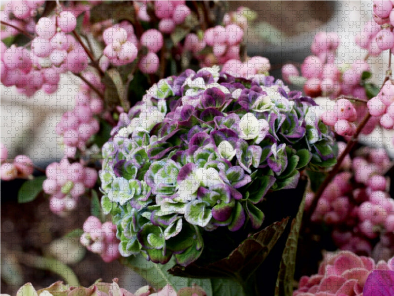Hortensie 1000 Teile Puzzle quer - CALVENDO Foto-Puzzle'