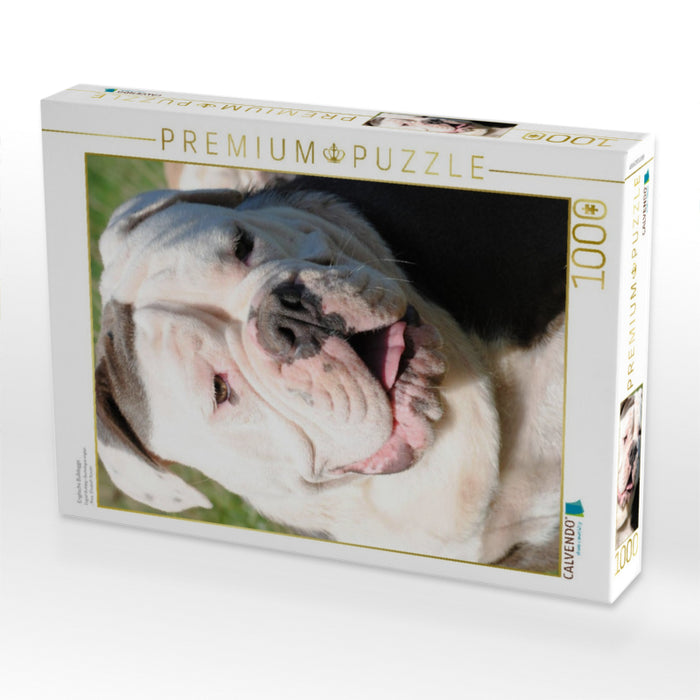 Englische Bulldogge - CALVENDO Foto-Puzzle'