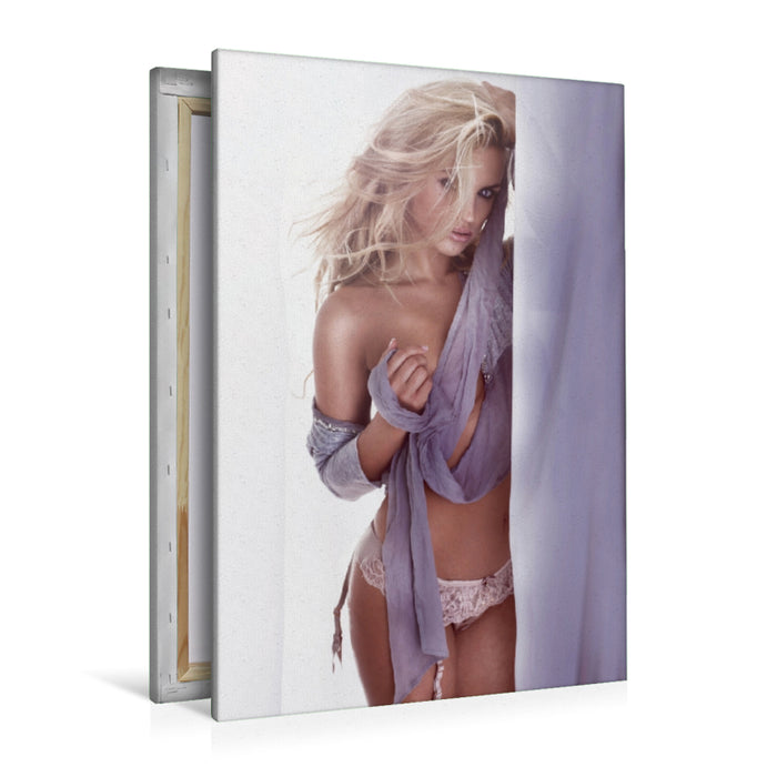 Premium Textil-Leinwand Premium Textil-Leinwand 80 cm x 120 cm  hoch Ein Motiv aus dem Kalender Erotik - Gladiatoren und Engel