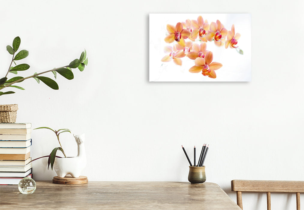 Premium Textil-Leinwand Premium Textil-Leinwand 120 cm x 80 cm quer Phalaenopsis Orchideenrispe in orange und rot.